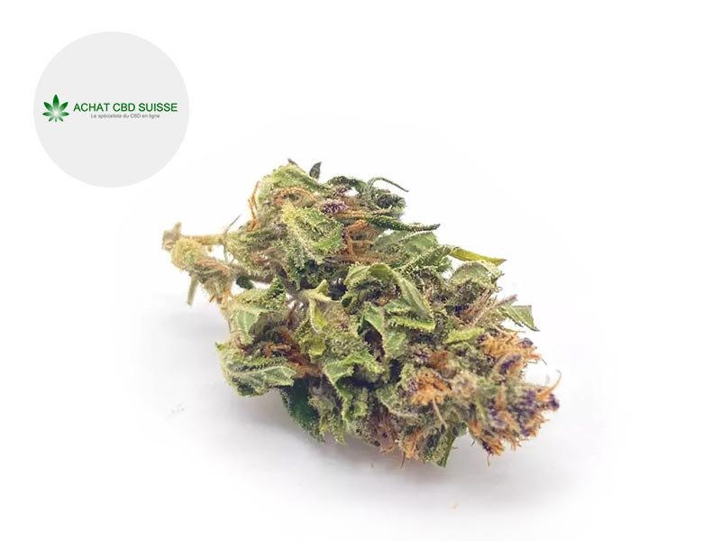 fleur achat cbd suisse