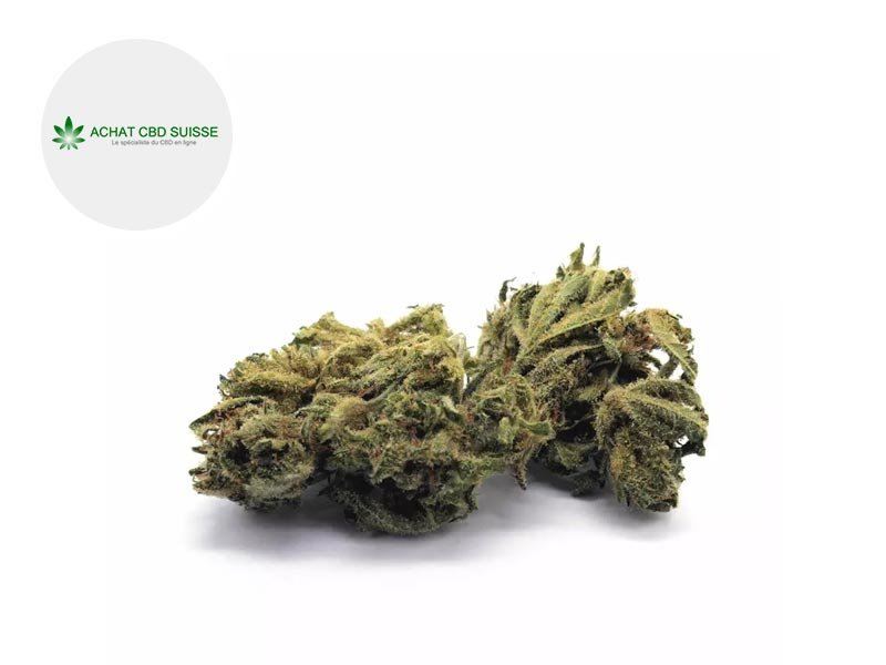 fleur sous serre achat cbd suisse