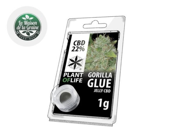 Résine Gorilla Glue CBD 22% - Plantoflife