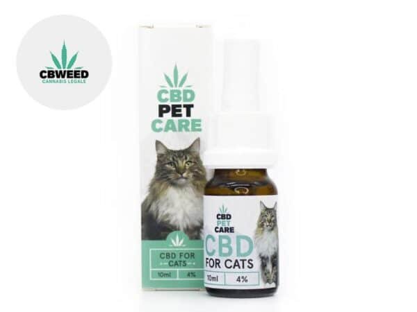 Huile CBD pour Chat 4% - Cbweed
