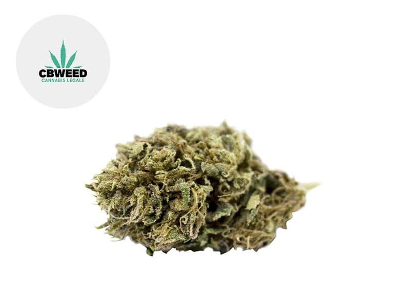 Fleur Blue Cheese CBD Outdoor 4.3% - Cbweed