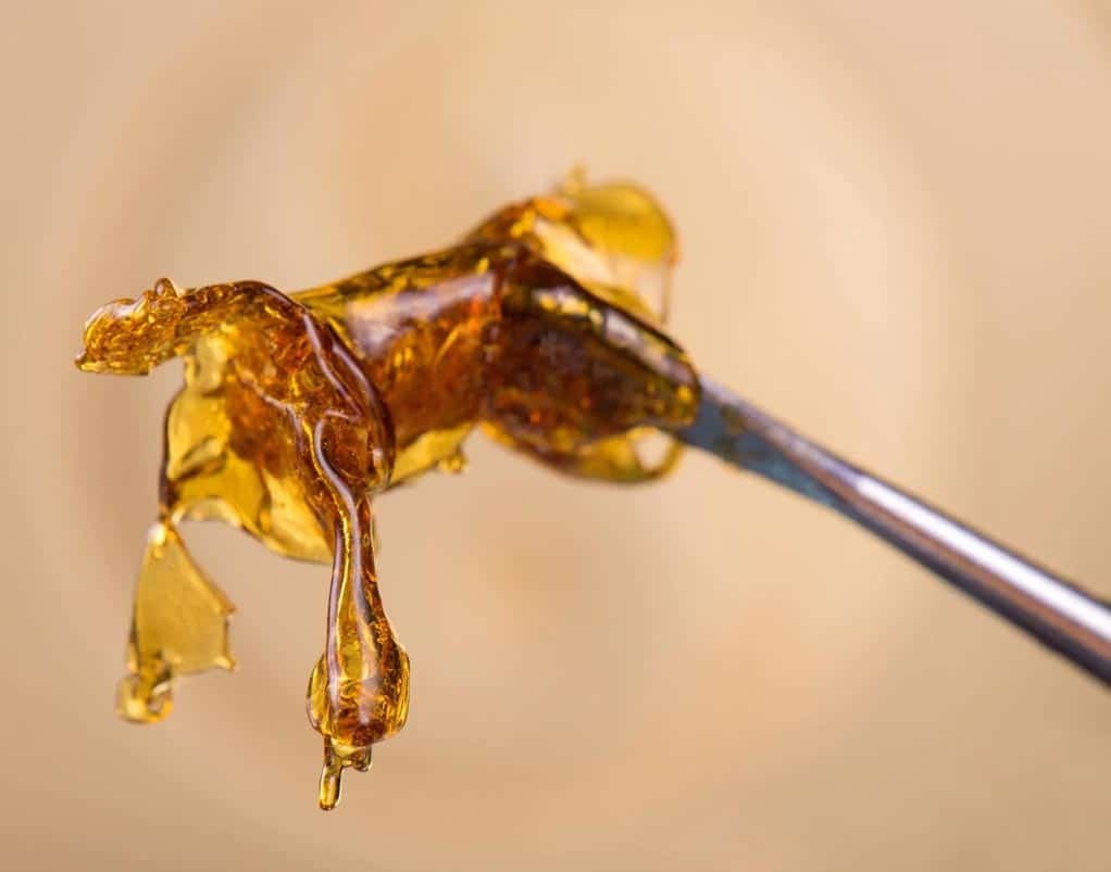 wax cannabidiol