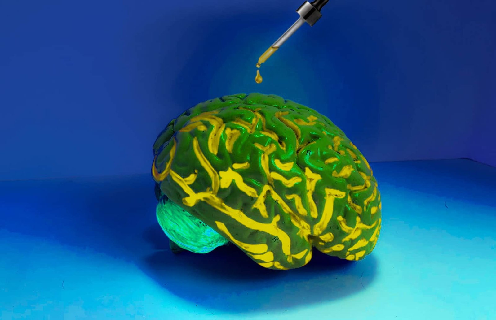 Huile de CBD et cerveau