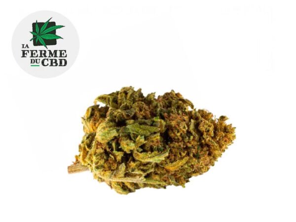 Fleur Cookie Kush CBD Outdoor 14% - La Ferme du CBD