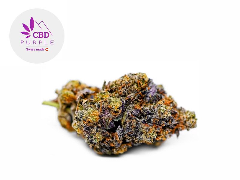 Fleur Gelato 41 CBD Indoor 16% - CBD Purple