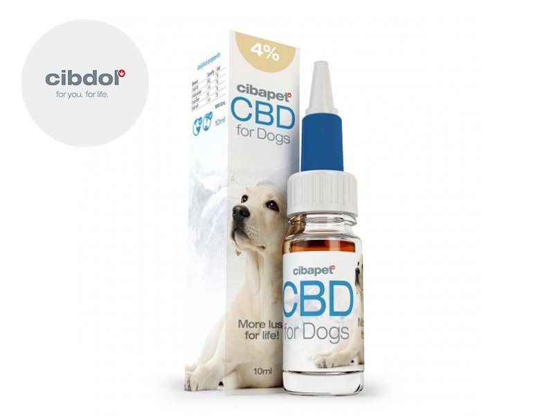 Huile CBD pour Chien 4% - Cibdol