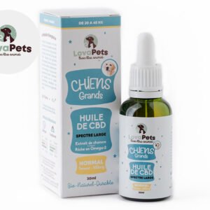 Huile CBD normale pour Grand Chien 3