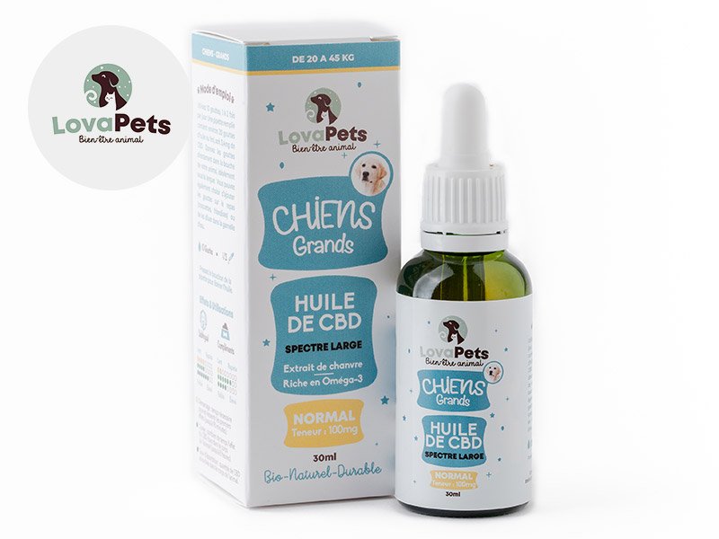 Huile CBD normale pour Grand Chien 3