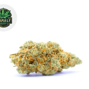 Fleur Blue Dream Kush CBD Indoor 26% - Zamaly