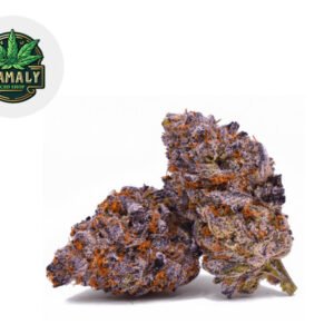 Fleur Purple Haze CBD Outdoor 12% - Zamaly