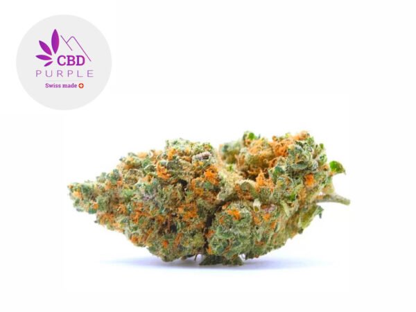 Fleur Critical 2.0+ CBD Indoor 17% - CBD Purple
