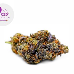 Fleur Gelato 41 CBD Indoor 16% - CBD Purple