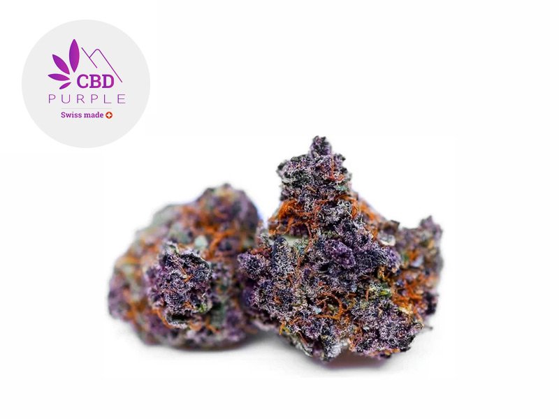 Fleur Purple Punch CBD Greenhouse 12% - CBD Purple