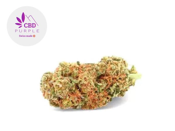 Fleur Blueberry H4CBD Indoor 26% - CBD Purple