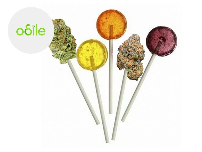 Sucettes CBD - Odile Green