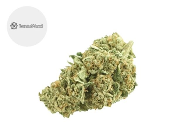 Fleur Amnesia CBD Indoor 19.5% - BonneWeed