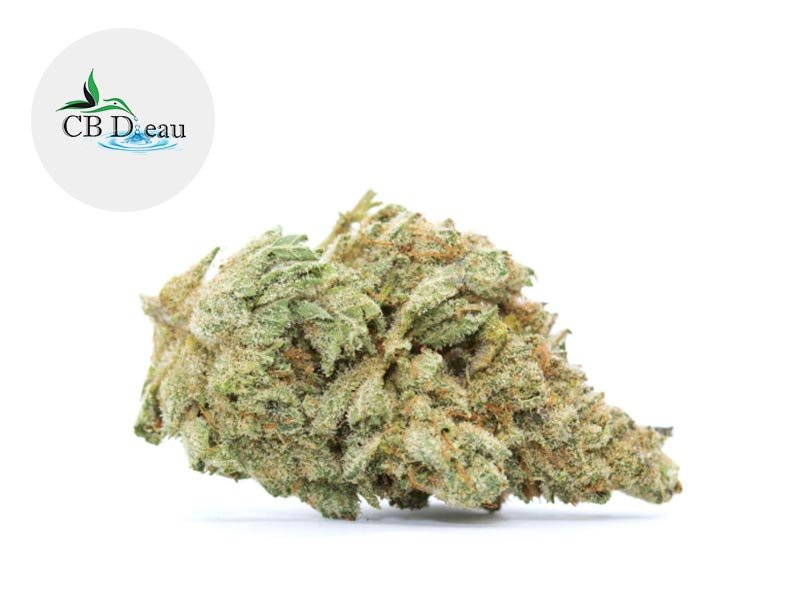 Fleur White Widow CBD Indoor 5% - CBDeau