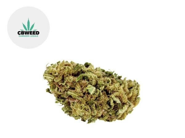 Fleur Bubble Gum CBD Indoor 9% - Cbweed