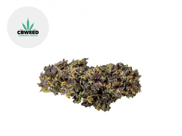Fleur Deep Purple CBD Indoor 9.5% - Cbweed