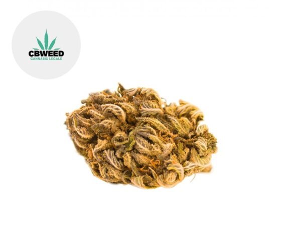 Fleur Gorilla Glue CBD Indoor 8.8% - Cbweed