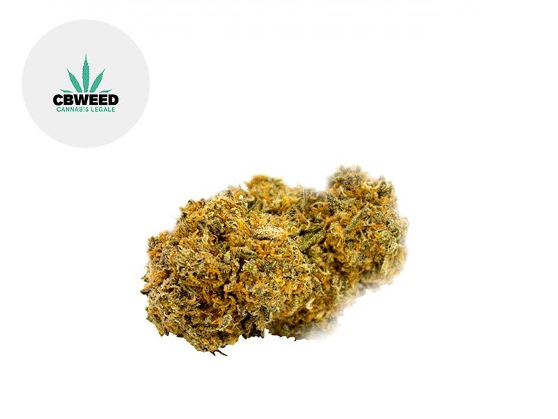 Fleur Strawberry CBD Indoor 5.3% - Cbweed