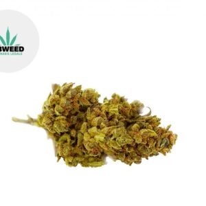 Fleur Mango Haze CBD Greenhouse 8% - Cbweed