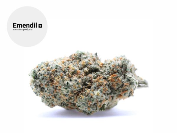 Fleur Mango haze CBD Indoor 23% - Emendil