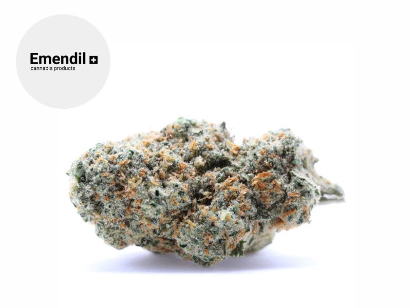 Fleur Mango haze CBD Indoor 23% - Emendil