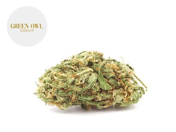 Fleur Critical CBG Indoor 10% - Greenowl
