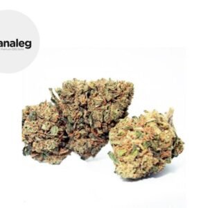 Fleur Gelato CBD Indoor 5% - Kanaleg