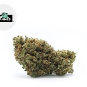 Fleur Junky Milk CBD Indoor 19.9% - Kilogrammes