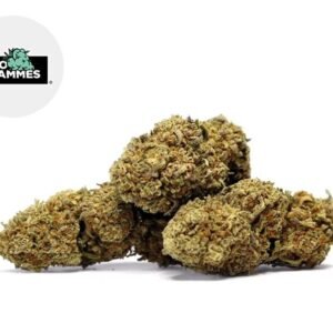 Fleur Lemonade CBD Greenhouse 16.7% - Kilogrammes