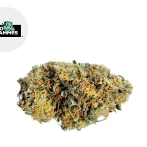 Fleur Vanilla Kush CBD Greenhouse 16.1% - Kilogrammes