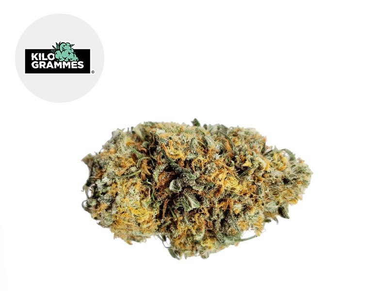 Fleur Vanilla Kush CBD Greenhouse 16.1% - Kilogrammes