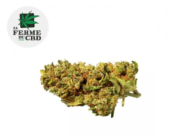 Fleur Lemon skunk CBD Indoor 13% - La Ferme du CBD