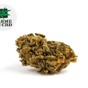 Fleur Master Kush CBD Outdoor 18% - La Ferme du CBD