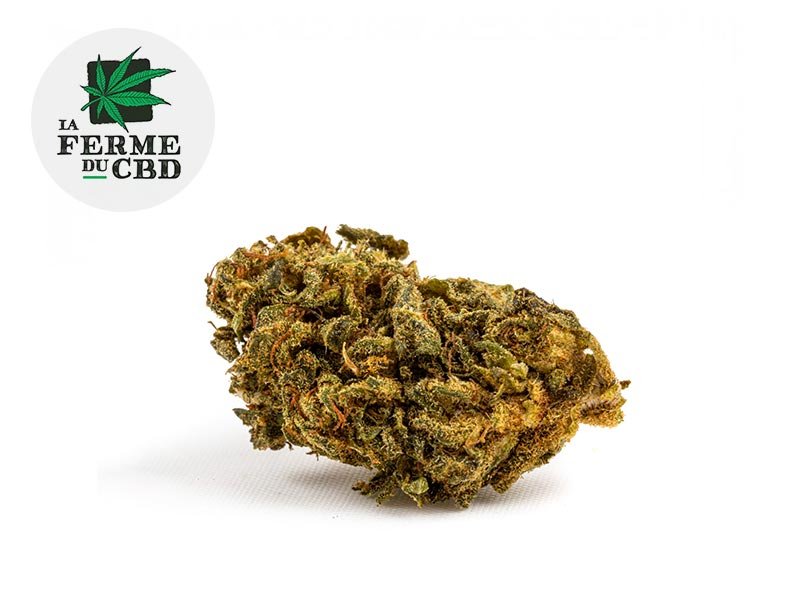 Fleur Master Kush CBD Outdoor 18% - La Ferme du CBD