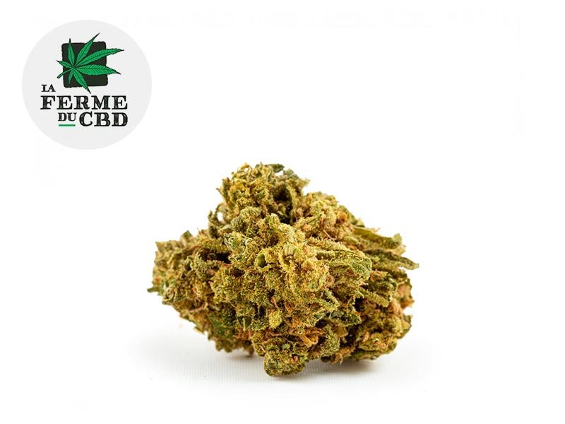 Fleur Great White Shark CBD Greenhouse 15% - La Ferme du CBD