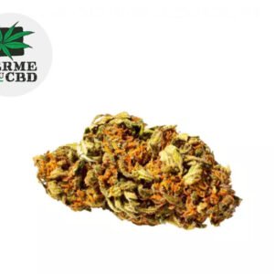 Fleur Harlequin CBD Indoor 15% - La Ferme du CBD