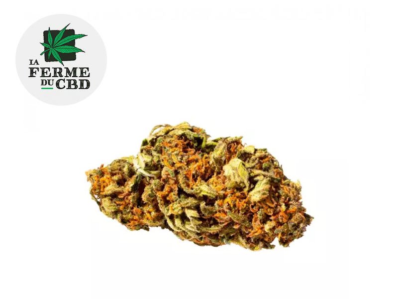 Fleur Harlequin CBD Indoor 15% - La Ferme du CBD