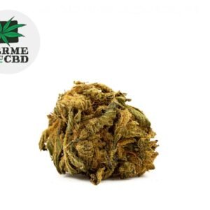 Fleur Choco CBD Greenhouse 15% - La Ferme du CBD