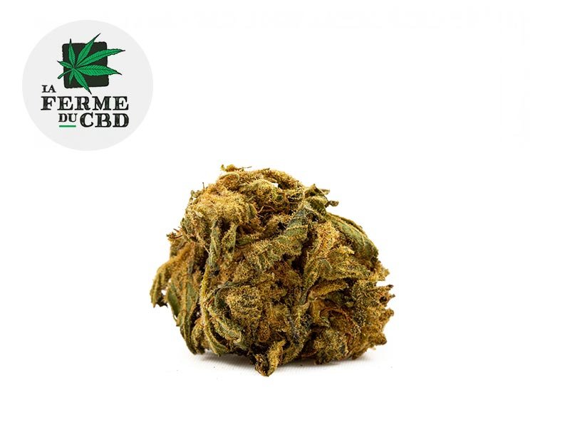 Fleur Choco CBD Greenhouse 15% - La Ferme du CBD