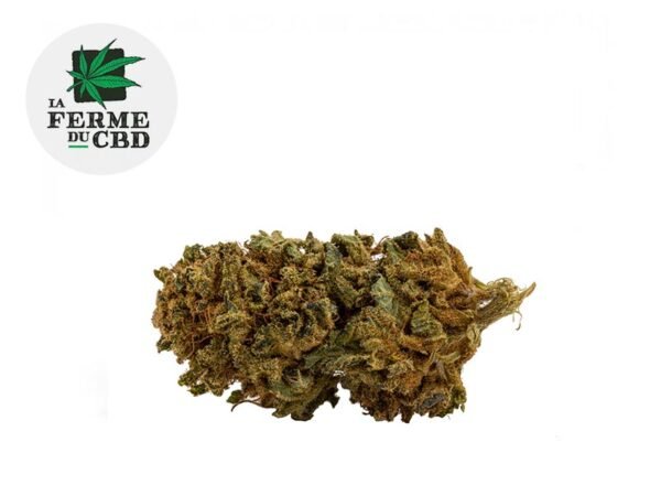 Fleur Super Skunk CBD Greenhouse 11.5% - La Ferme du CBD