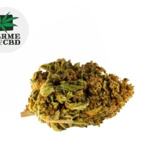 Fleur Cookie Kush CBD Outdoor 14% - La Ferme du CBD