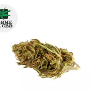 Fleur Critical CBD Outdoor 20% - La Ferme du CBD
