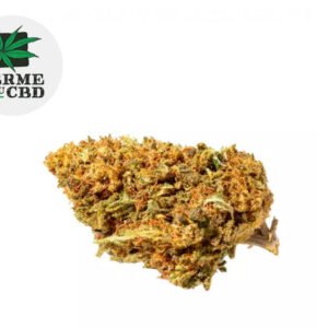 Fleur Orange Bud CBD Greenhouse 14% - La Ferme du CBD