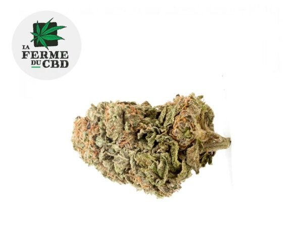 Fleur OG Kush CBD Indoor 20% - La Ferme du CBD