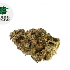 Fleur Gelato CBD Indoor 10% - La Ferme du CBD