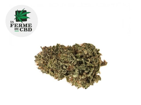 Fleur Sour diesel CBD Indoor 21% - La Ferme du CBD