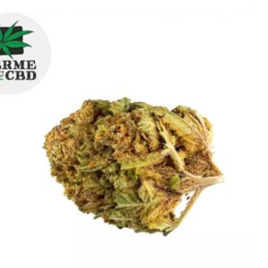 Fleur Bubble gum CBD Indoor 13% - La Ferme du CBD